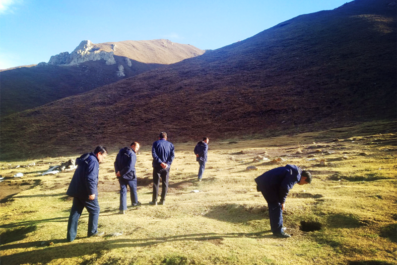 興海銅鑫召開(kāi)礦區生態(tài)治理動(dòng)員部署會(huì )