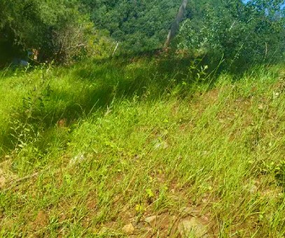 柳關(guān)欒盧鉛鋅礦|治理排土“瘡疤”，繪就綠色畫(huà)卷